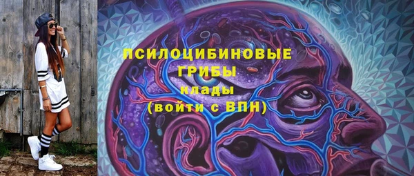 дурь Алзамай