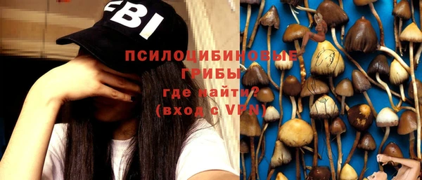 дурь Алзамай