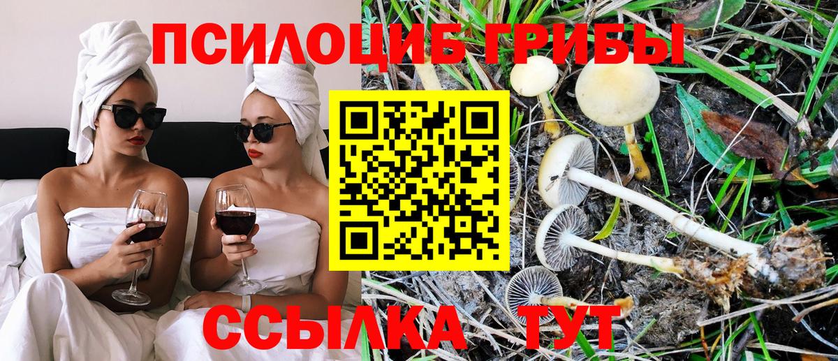 Галлюциногенные грибы мухоморы  Псилоцибиновые грибы Magic Shrooms  Балабаново  Вход с VPN 